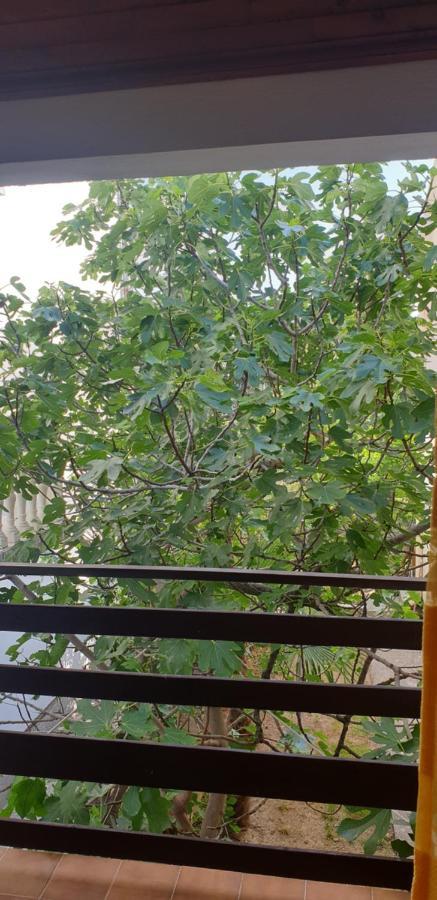 Apartment Tonci Ραμπ Εξωτερικό φωτογραφία